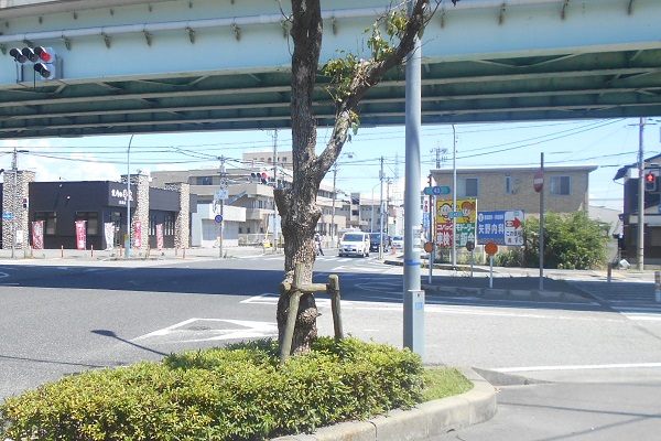 立体交差している「平津」の交差点の横断歩道を直進し、歩道を右へ進みます。