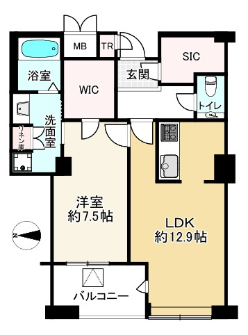 間取り画像