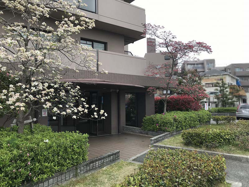 イメージ