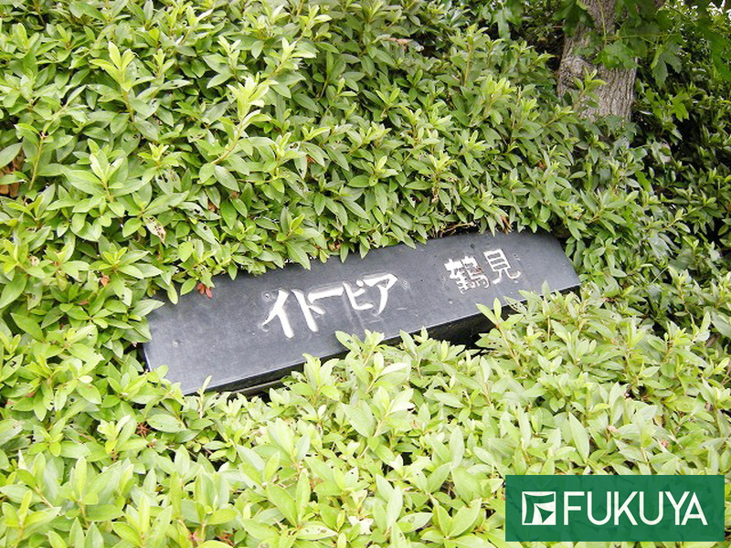 イメージ