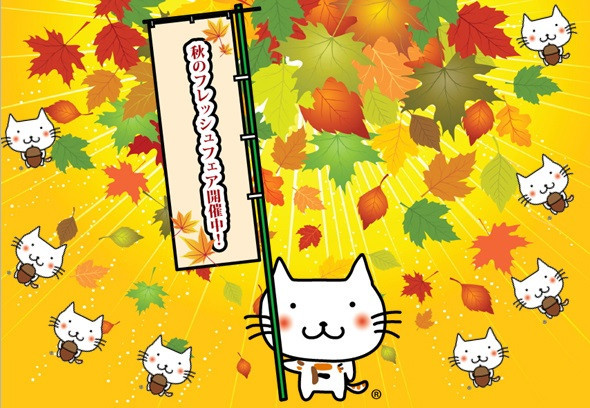 9/1~10/31『秋のフレッシュフェア』開催中♪ 9/1~10/31『秋のフレッシュフェア』開催中♪